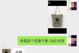 临沧临沧专业催债公司的催债流程和方法